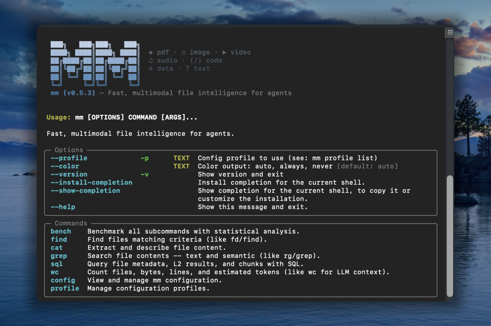 mm terminal demo